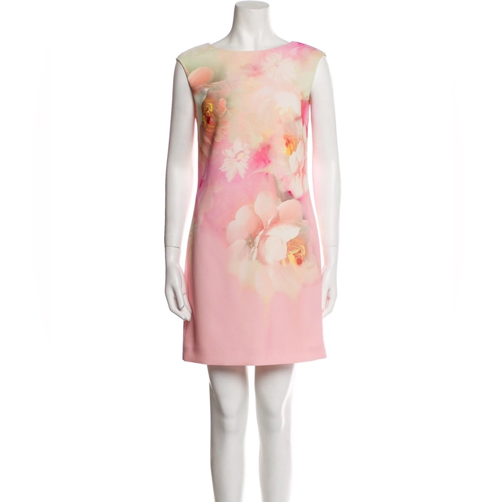 BNWT Ted Baker Damona Rose on Canvas Dress Sz 0 US2 $295